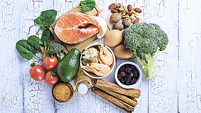 Gesunde Ernährung Auswahl an tierischen und pflanzlichen Lebensmitteln