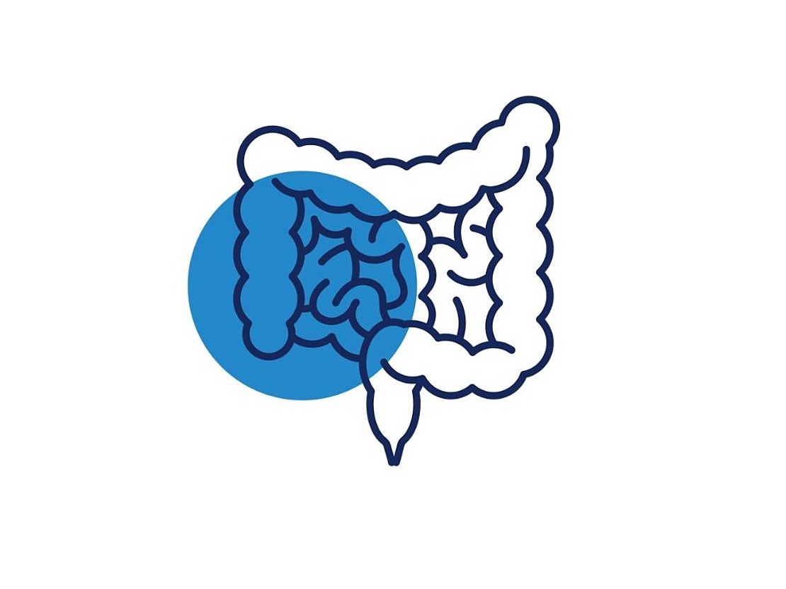Eine einfache Strichzeichnung eines menschlichen Dickdarms mit einem blauen Kreis, der die linke Seite des Dickdarms hervorhebt, dargestellt auf weißem Hintergrund.