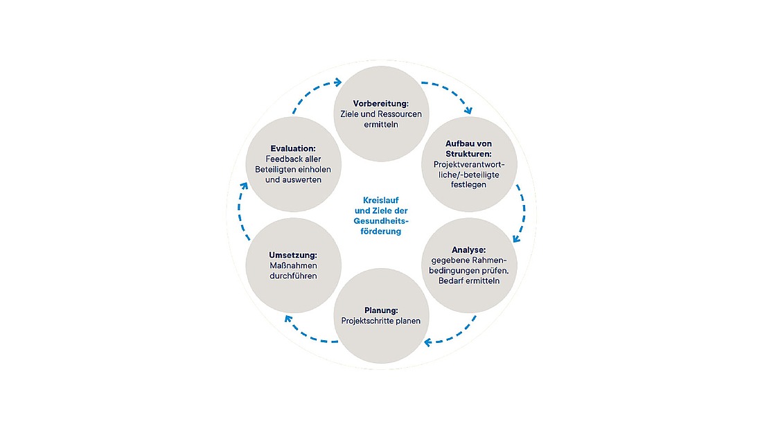 Ein Kreisdiagramm mit sechs beschrifteten Schritten in deutscher Sprache, das einen Prozess der Gesundheitsförderung beschreibt: Vorbereitung, Aufbau von Strukturen, Analyse, Planung, Umsetzung, Evaluation. Pfeile zeigen einen kontinuierlichen Zyklus an.